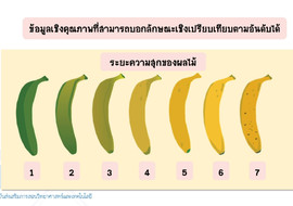 วีดิทัศน์: การแปลความหมายข้อมูลในชีววิทยา ตอนที่ 1 ... รูปภาพ 1